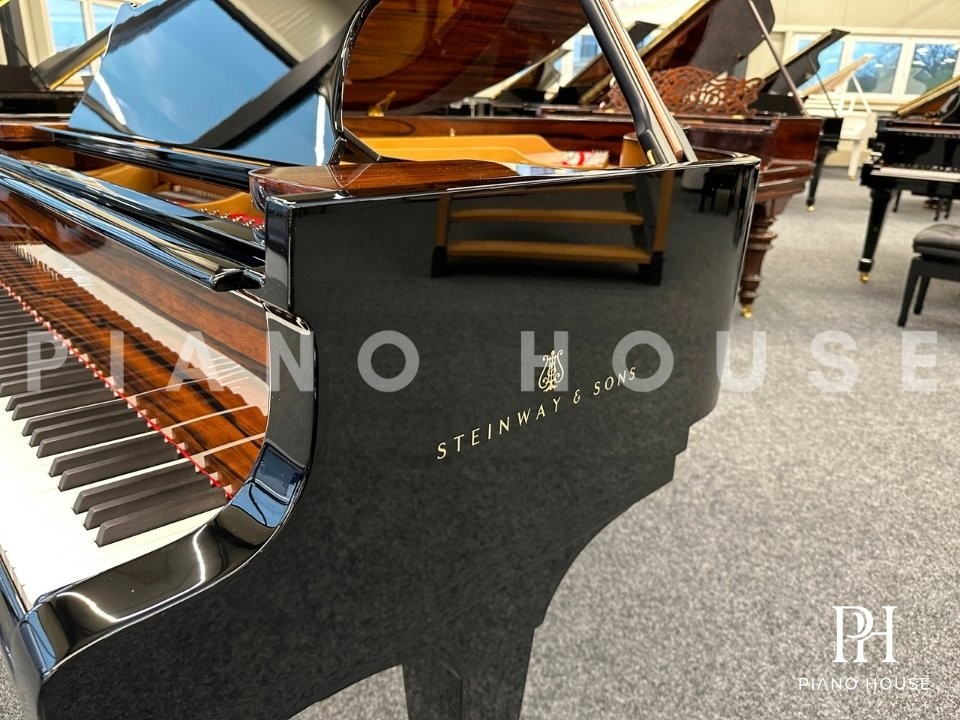 Steinway O-180 Special Edition Golden Cast Iron Plate View