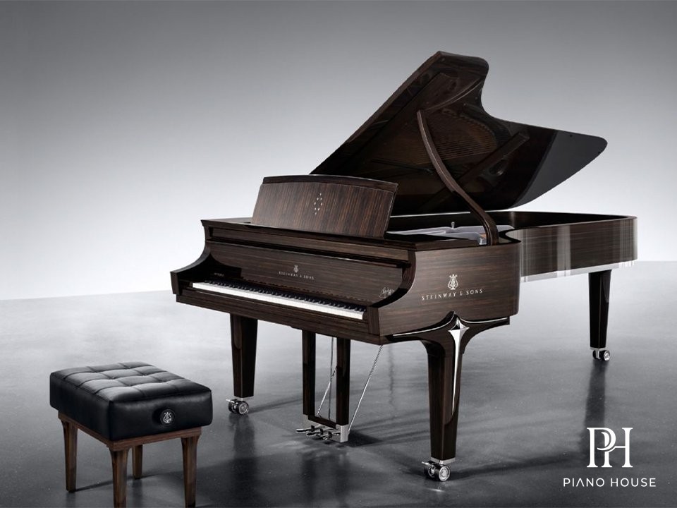 Steinway Spirio Black Diamond Model D Concert Grand Piano Layout