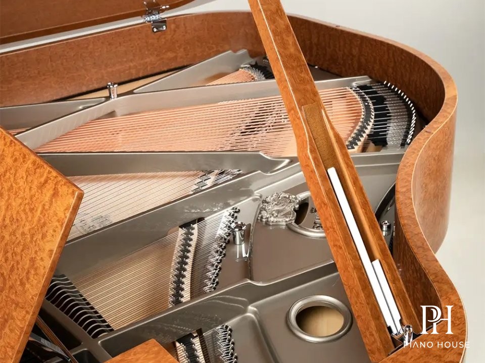 Royal Wood Eucalyptus Edition Internal Bracing Detail