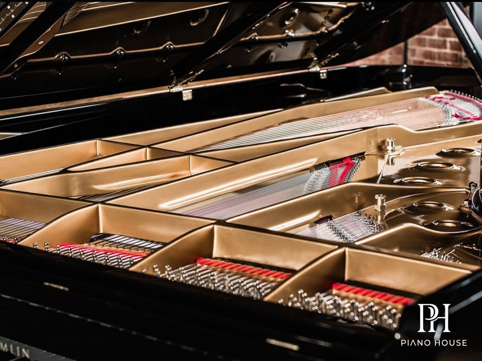 Virtuoso X Series Internal Components Detail