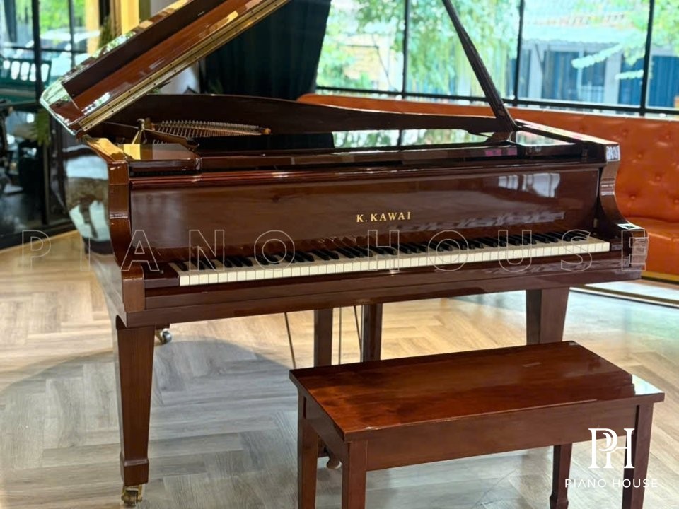 Kawai GX-2 Interior Detail