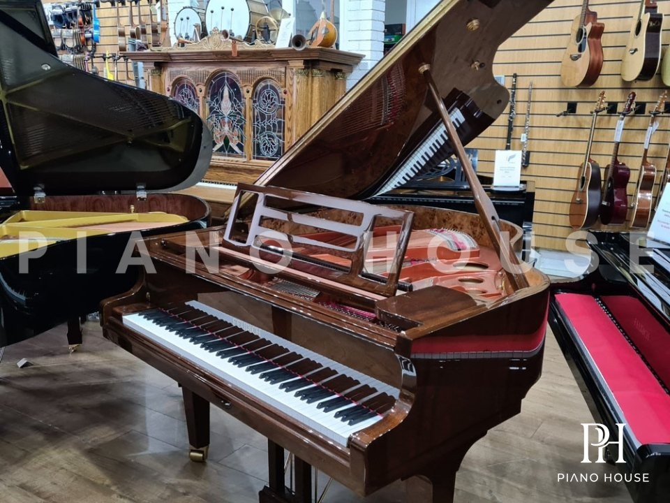 Grand Piano 162 Walnut Polish