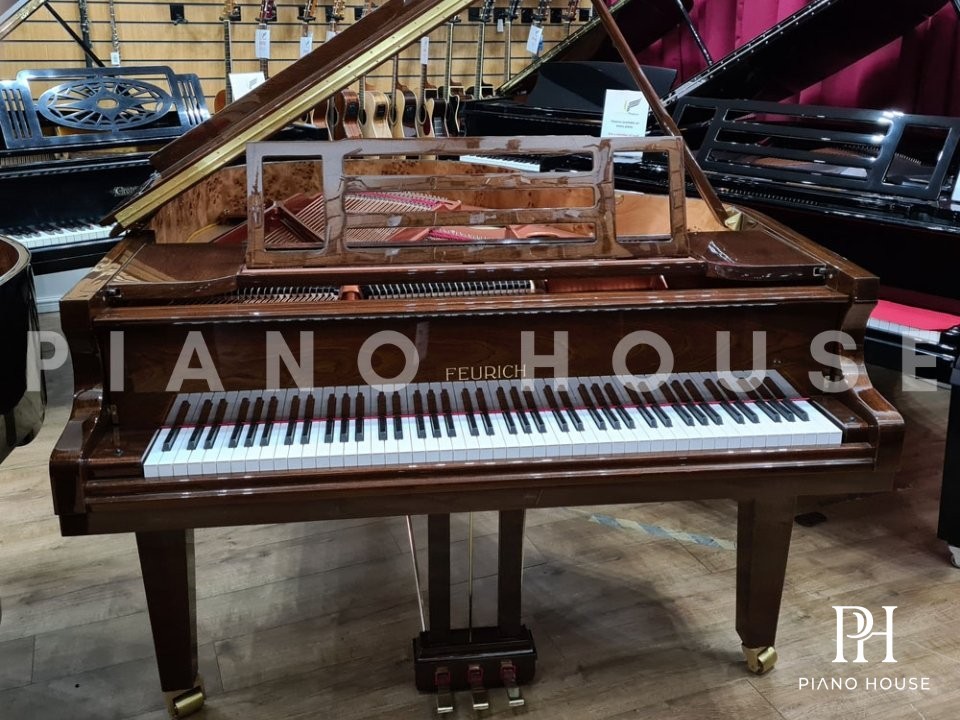 Grand Piano 162 Walnut Detail