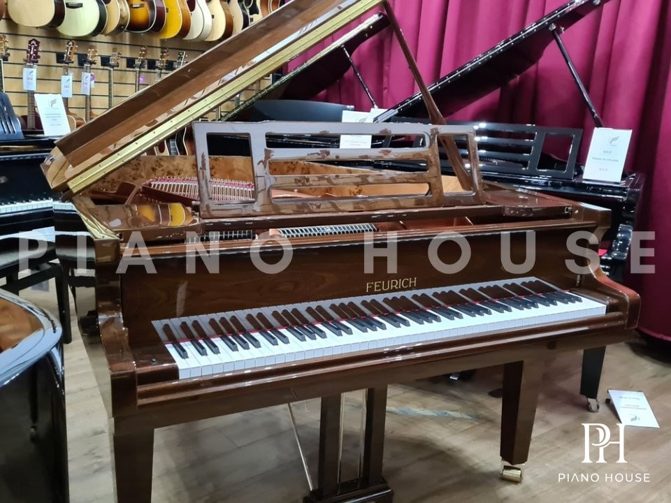 Grand Piano 162 Interior