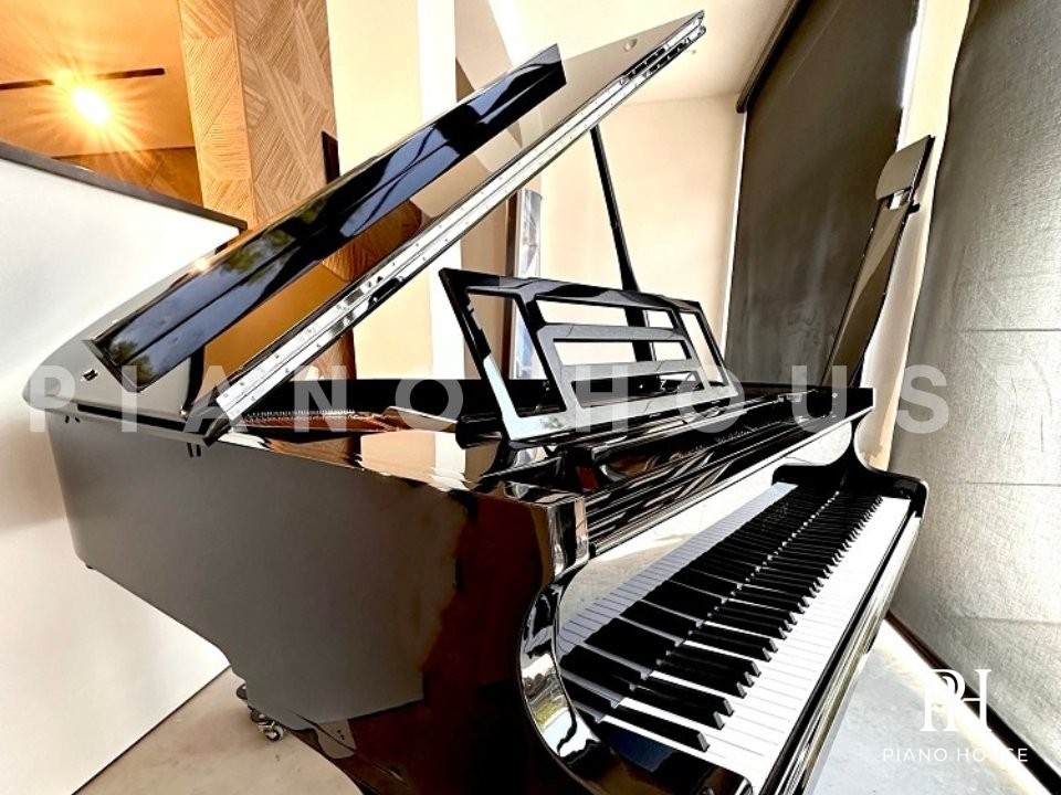 Grand Piano 162 Chrome Detail