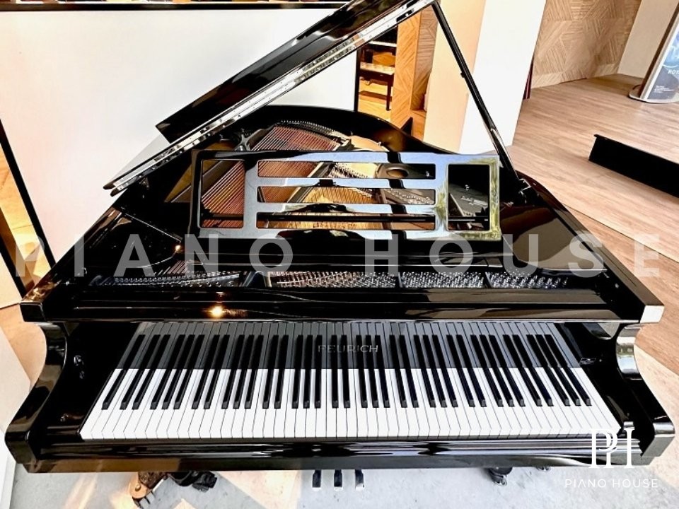 Grand Piano 162 Action Detail