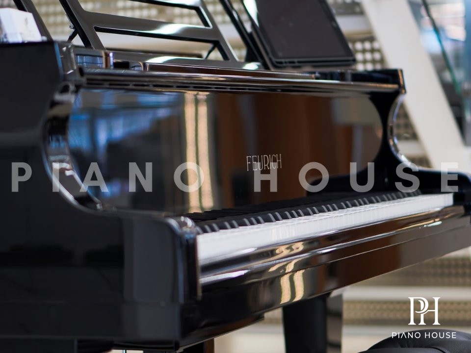 Grand Piano 179 Chrome Detail