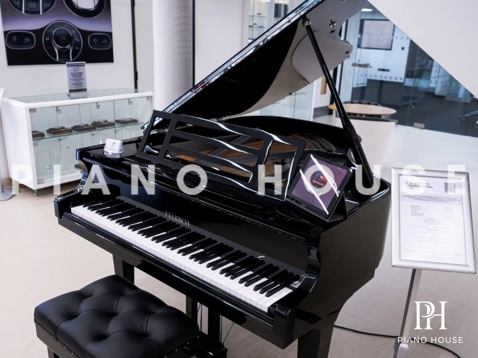 Grand Piano 179 Interior Detail