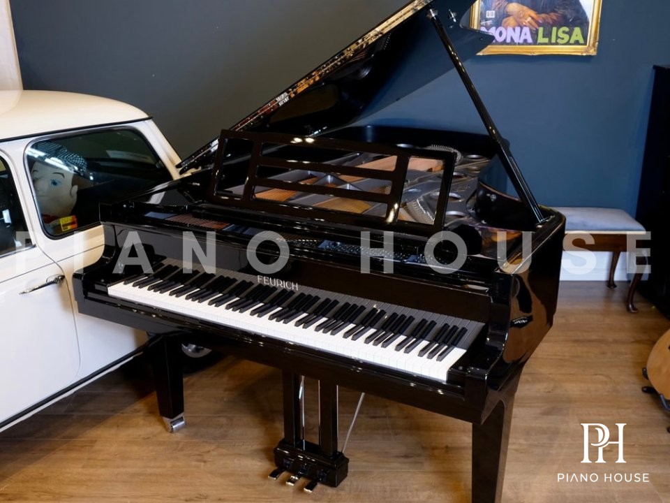 Grand Piano 218 Concert I Chrome Polish