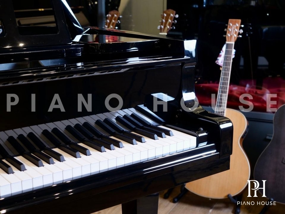 Grand Piano 218 Cabinet Finish