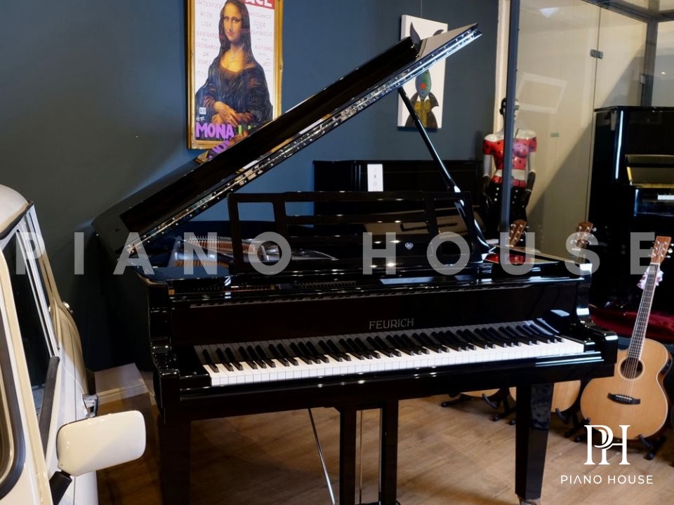 Grand Piano 218 Interior Frame