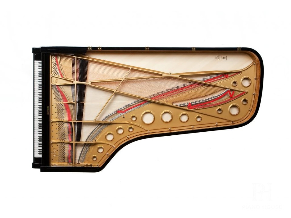 Fazioli F308 Profile