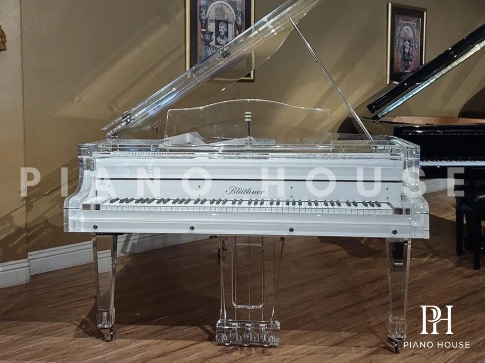 Crystal Edition Detail