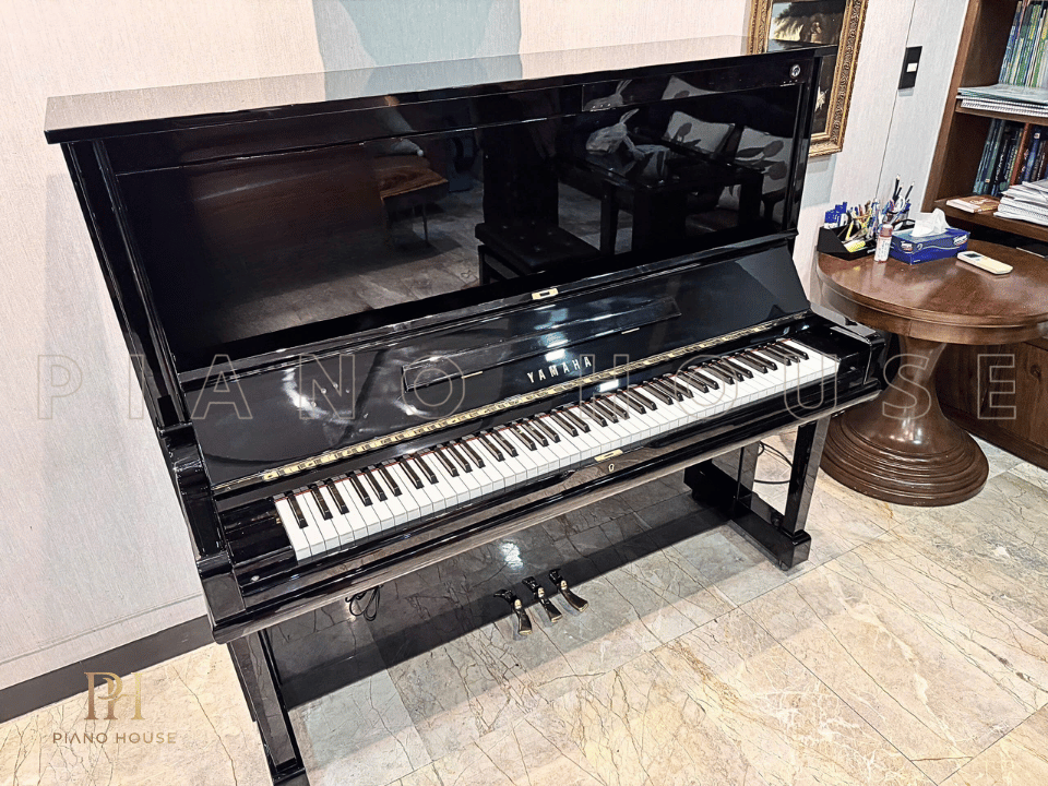 Hình ảnh chi tiết YAMAHA MX31RS góc chụp 2