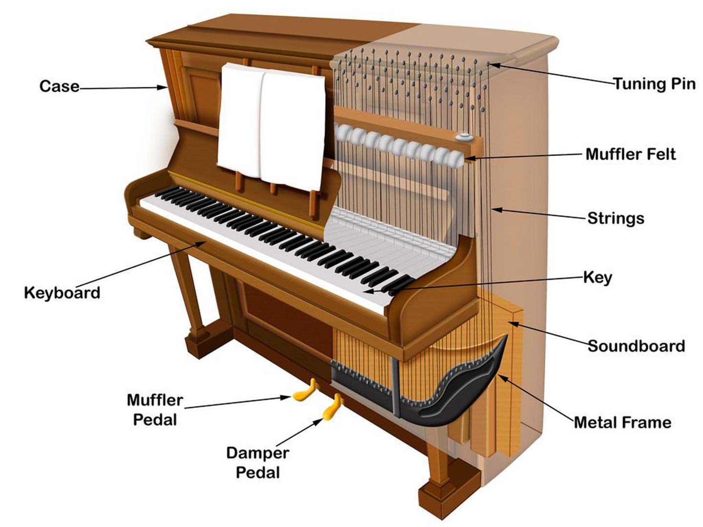 cấu tạo thùng đàn piano cơ
