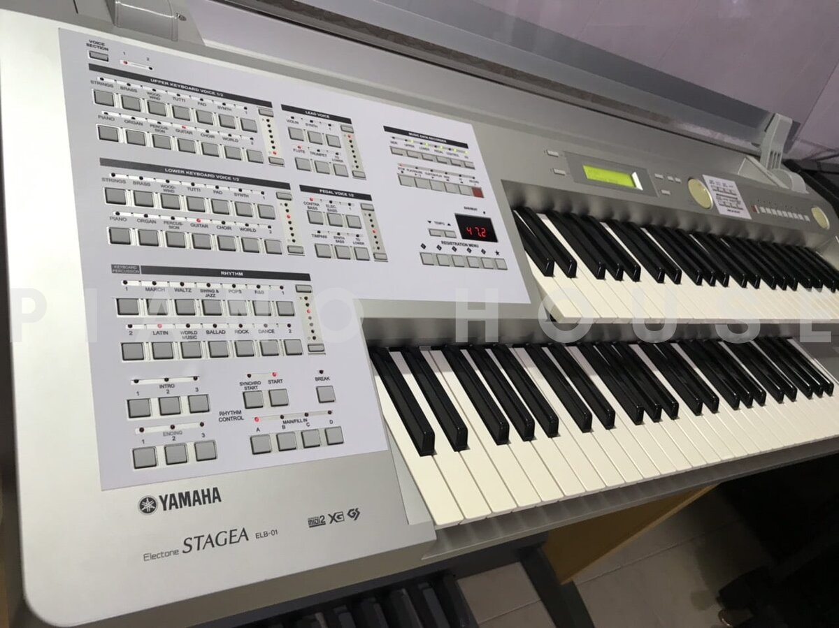 Chi tiết đàn YAMAHA ELB-01 - Hình 4