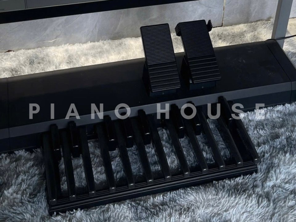 YAMAHA ELS-02C (New) - Góc nhìn thực tế 6