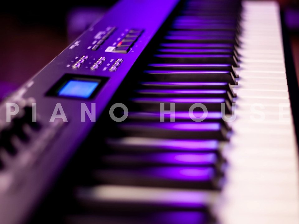 Chi tiết đàn ROLAND RD-08 - Hình 4