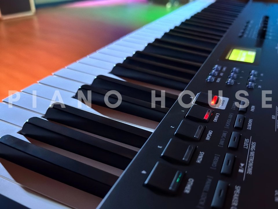 ROLAND RD-08 - Ảnh thực tế 8