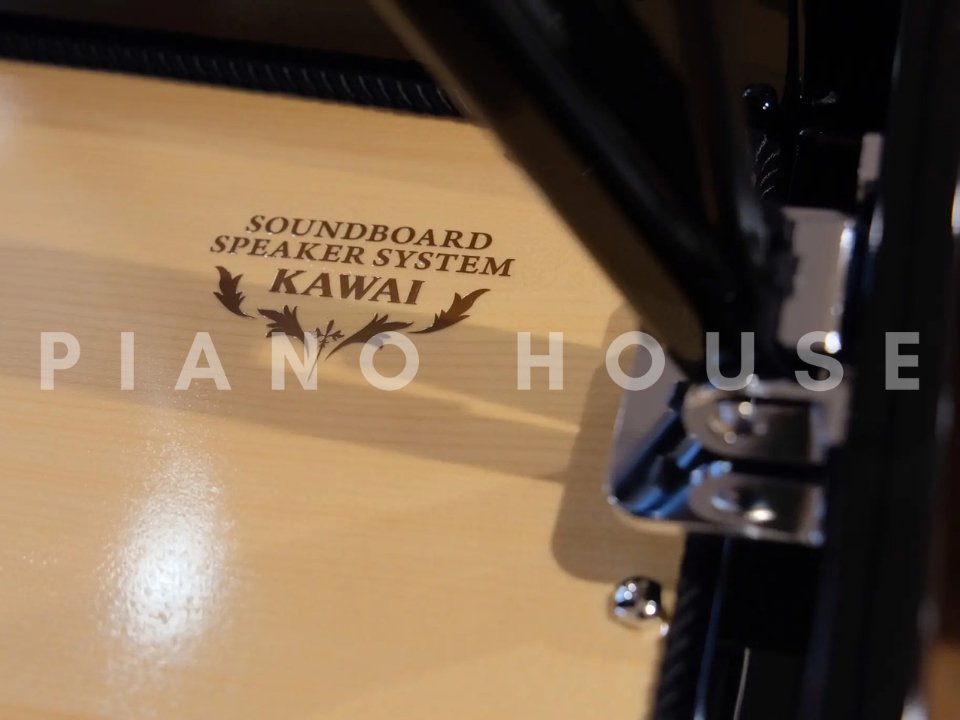 KAWAI Novus NV12 - Ảnh thực tế 8