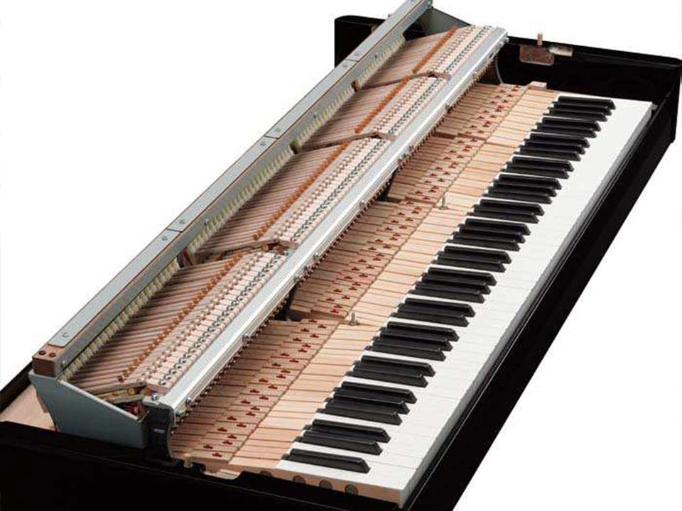 AVANT GRAND N1 (USED) - Góc nhìn thực tế 6