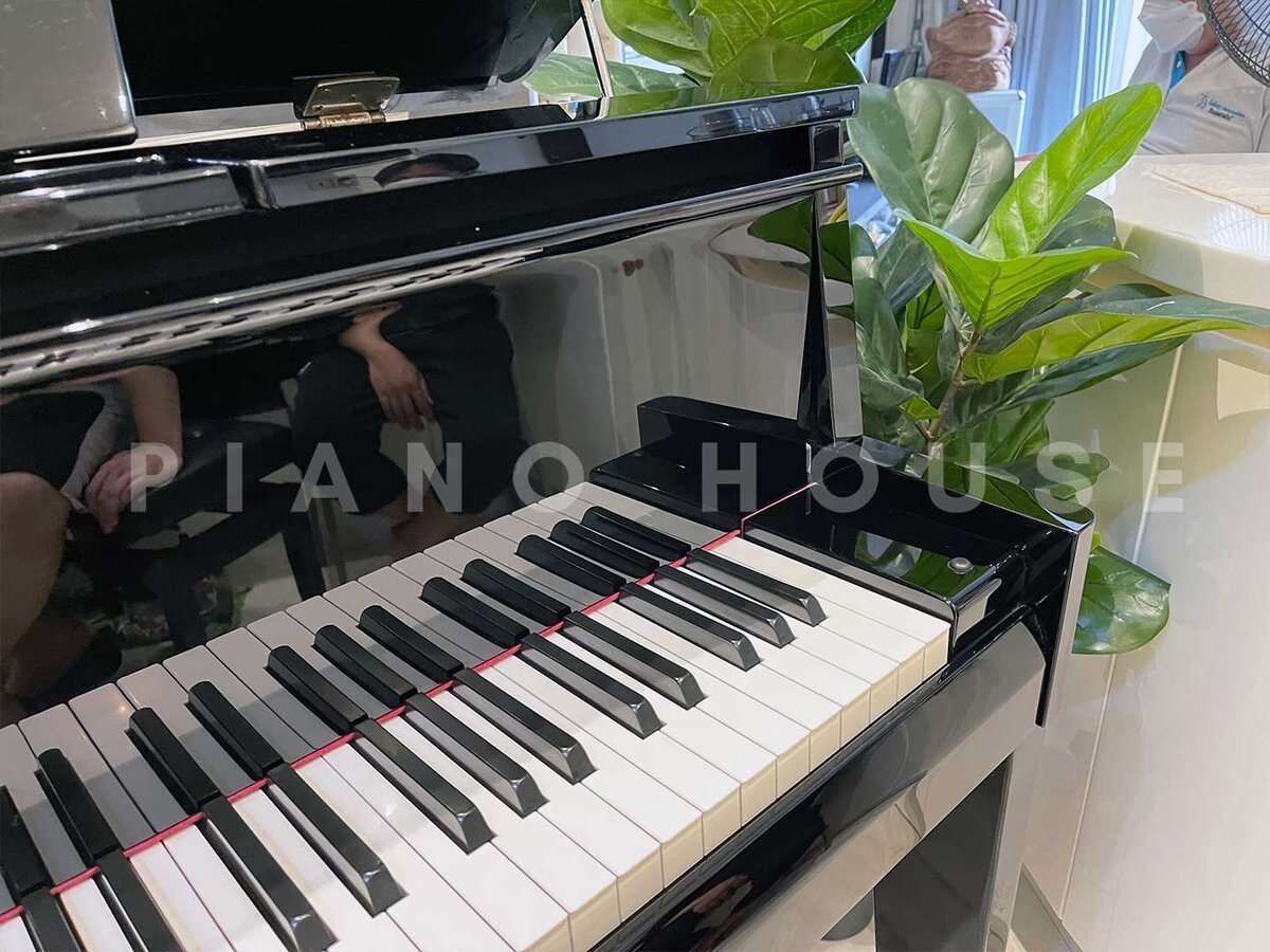 AVANT GRAND N2 (USED) - Góc nhìn thực tế 6