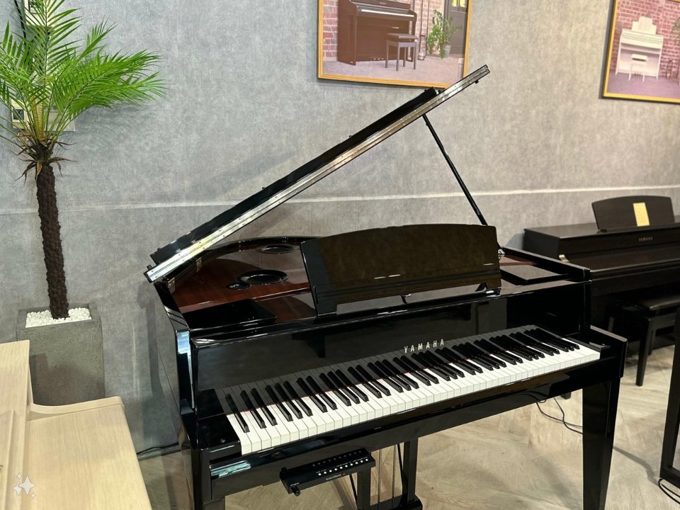 Hình ảnh chi tiết AVANT GRAND N3 (USED) góc chụp 2