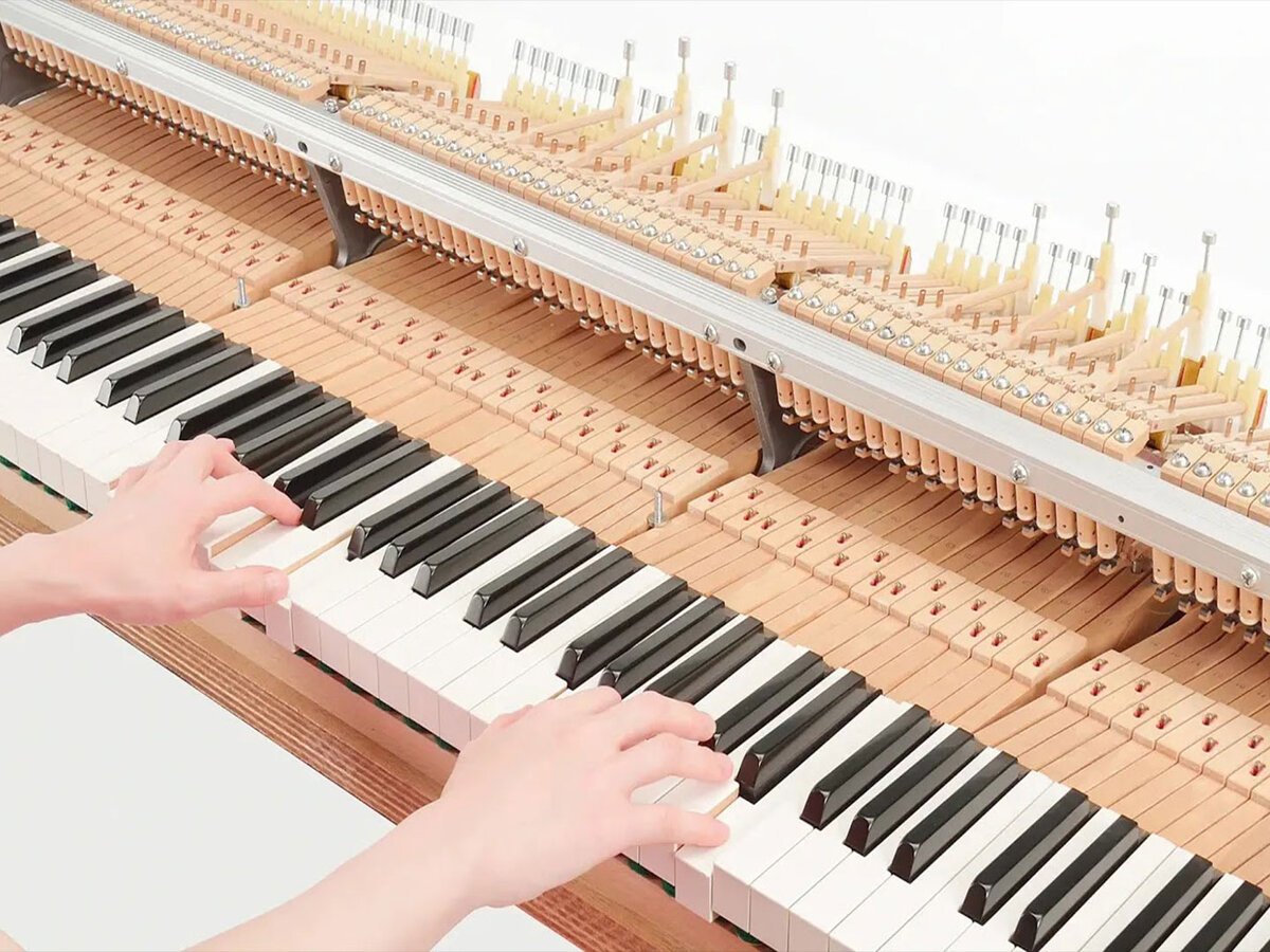 AVANT GRAND N3 (NEW) - Ảnh thực tế 8