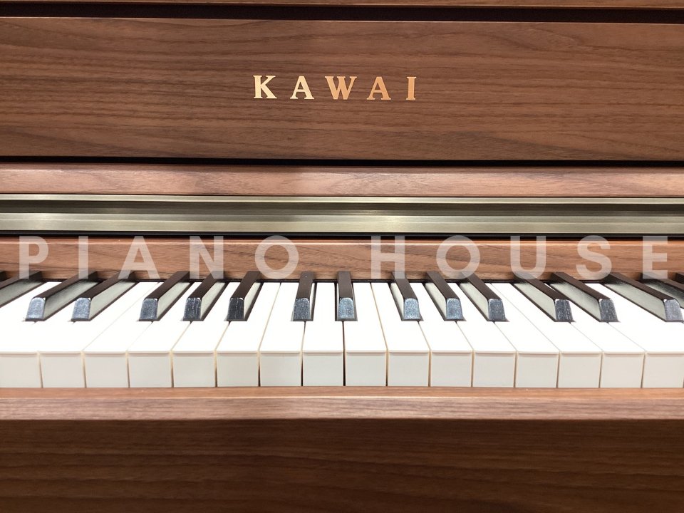 KAWAI CA701 NW - Ảnh thực tế 3