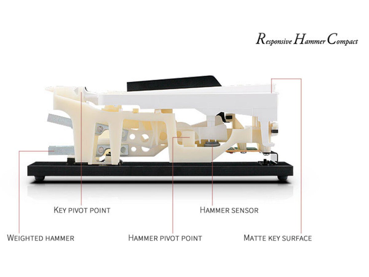 Chi tiết bàn phím Hammer Action IV-E trên KAWAI CN21R