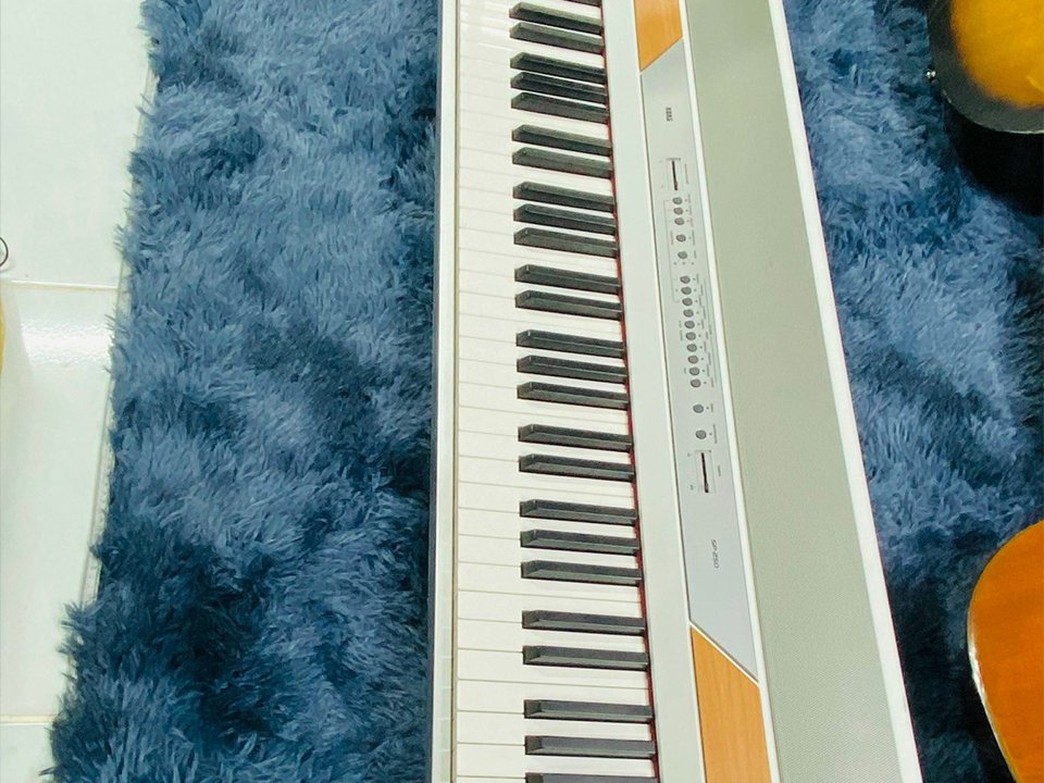 Mặt sau của đàn KORG SP-250 với các cổng kết nối MIDI, audio out và pedal