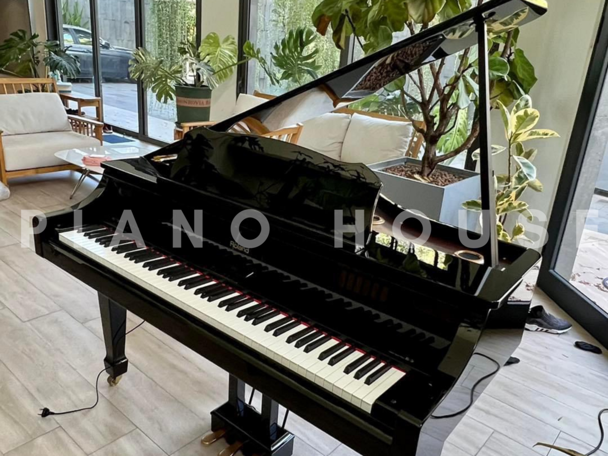 ROLAND RG-3F PE góc nhìn bàn phím và màn hình LCD