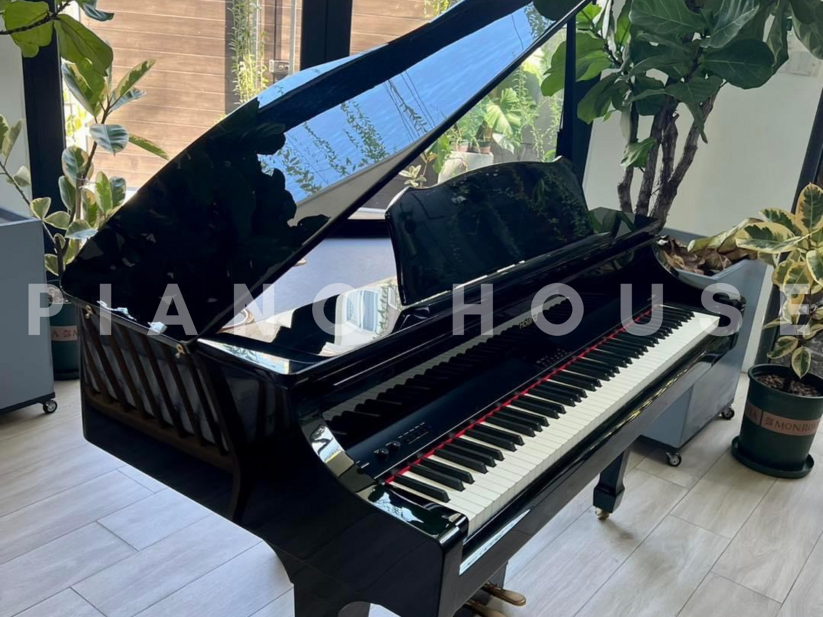 ROLAND RG-3F PE thiết kế nắp gập phong cách grand