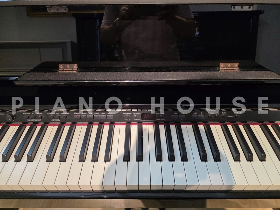 Cận cảnh ROLAND DP-990R PE tại Piano House