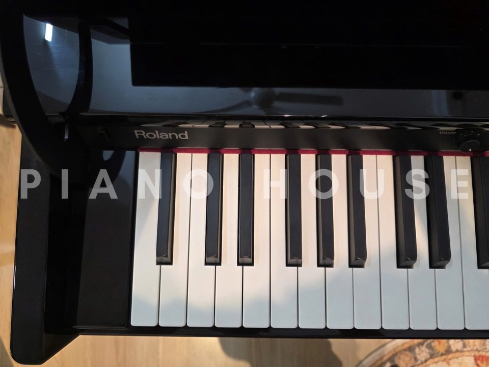 ROLAND DP-990R PE - Góc nhìn thực tế 6