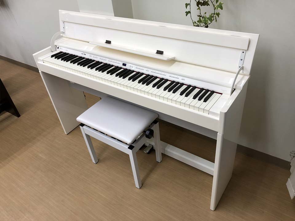 ROLAND DP-90Se PWS - Ảnh thực tế 3