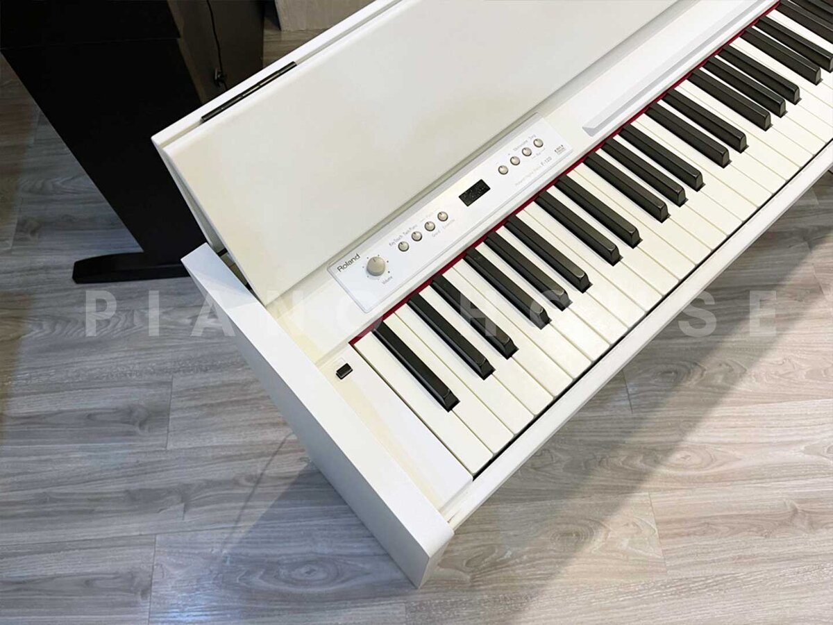 Chi tiết đàn ROLAND F-120 WH - Hình 4