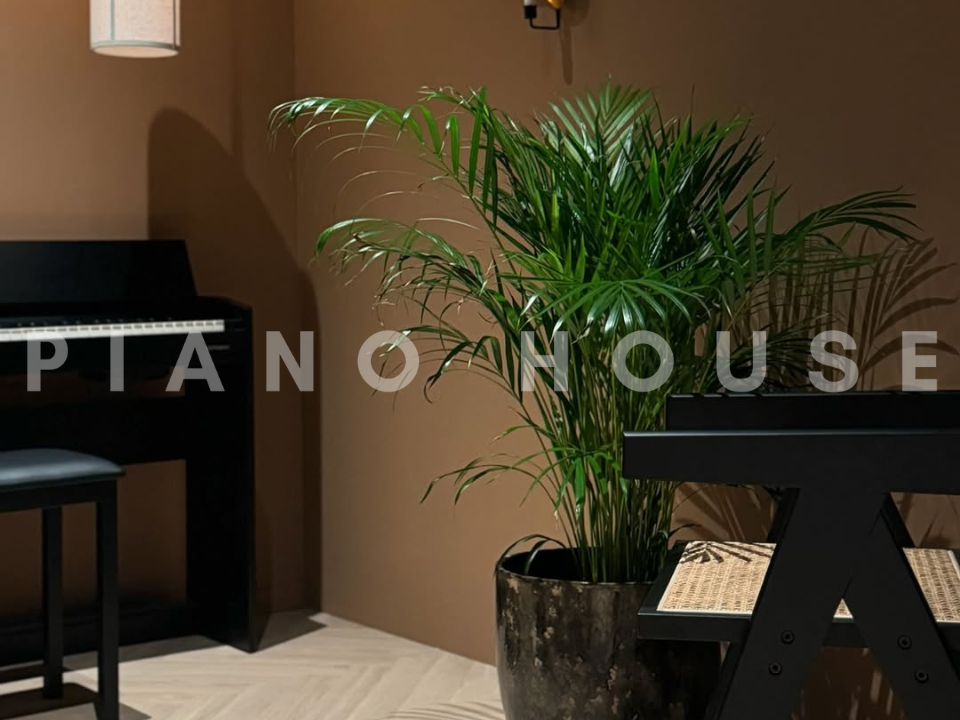 ROLAND F701 CB - Ảnh thực tế 3