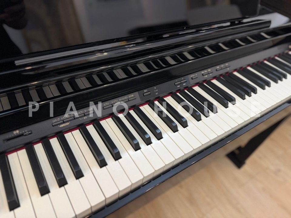 ROLAND HP-305 PE - Góc nhìn thực tế 6