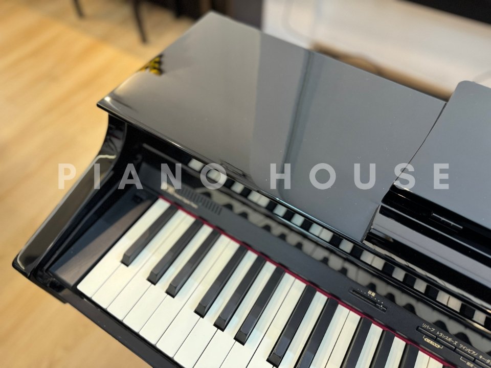 Hình ảnh chi tiết ROLAND HP-305 PE góc chụp 7