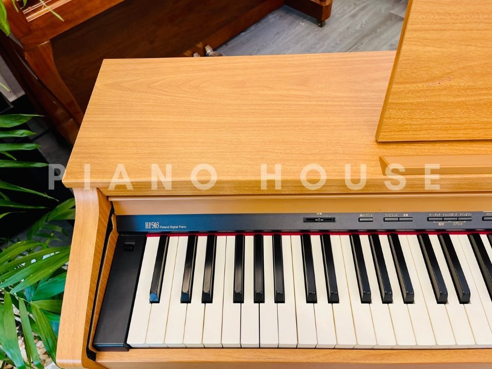 ROLAND HP-503 LW - Ảnh thực tế 3
