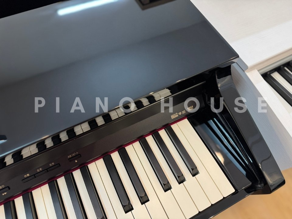 ROLAND HP-503 PE - Ảnh thực tế 8