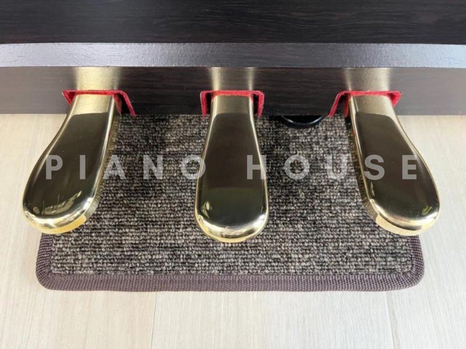 ROLAND HP-601 RW - Góc nhìn thực tế 6