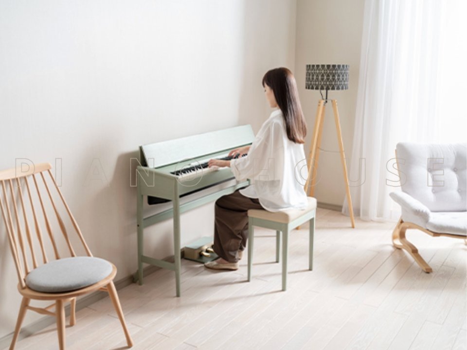 ROLAND Kiyola KF-20 KG - Ảnh thực tế 3