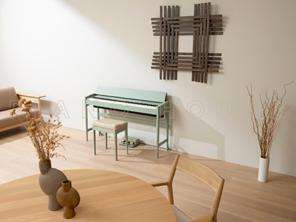 Hình ảnh chi tiết ROLAND Kiyola KF-20 KG góc chụp 2