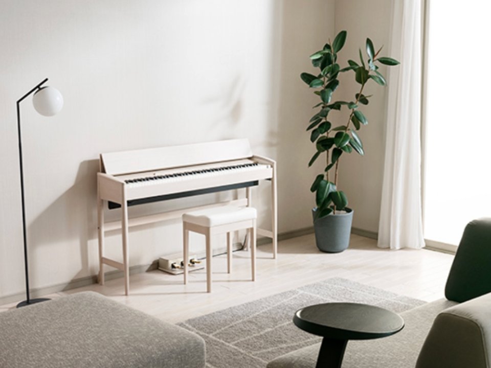 Hình ảnh chi tiết ROLAND Kiyola KF-20 KS góc chụp 2