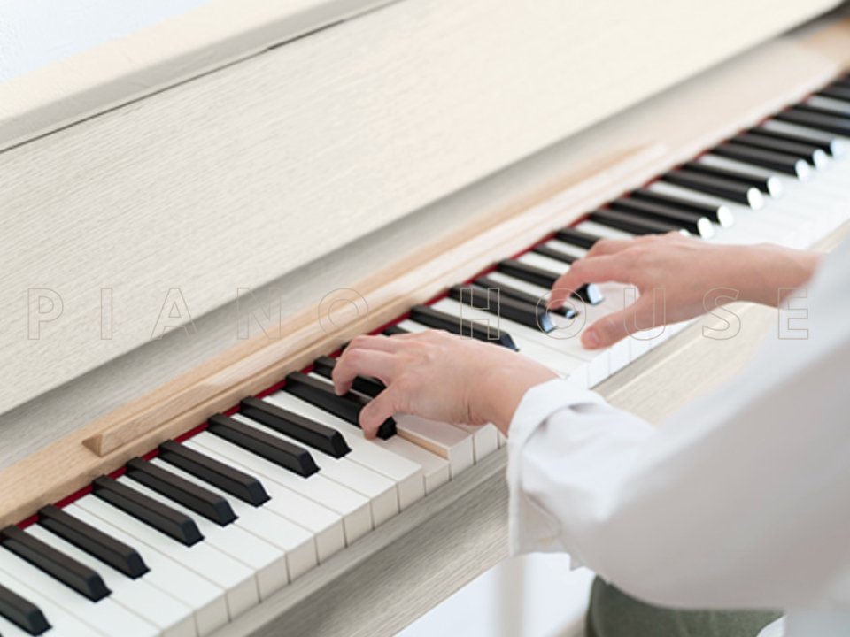 ROLAND Kiyola KF-20 KS - Ảnh thực tế 3