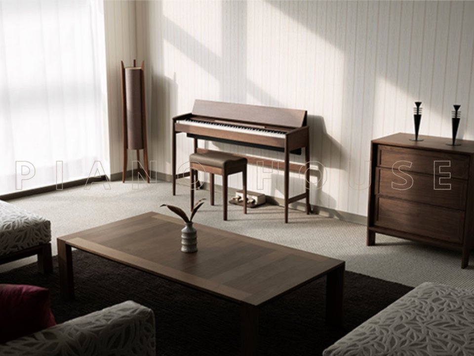 Hình ảnh chi tiết ROLAND Kiyola KF-20 KW góc chụp 2