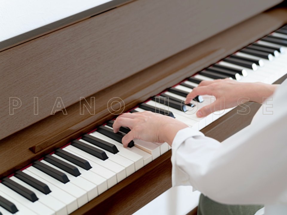 ROLAND Kiyola KF-20 KW - Ảnh thực tế 3