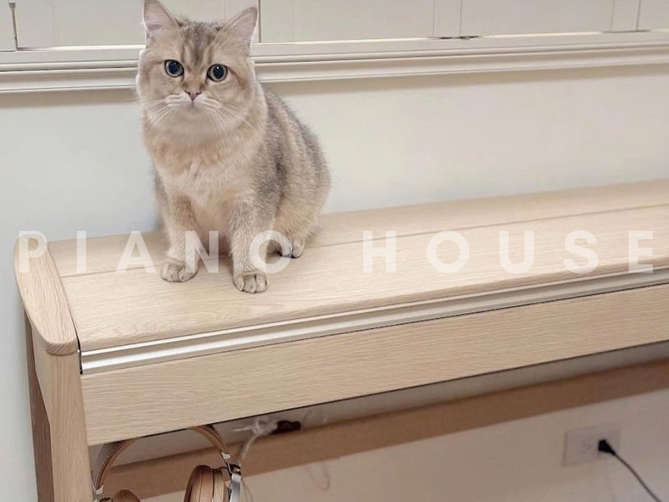 Cận cảnh ROLAND KF-10 Kiyola PO (used) tại Piano House